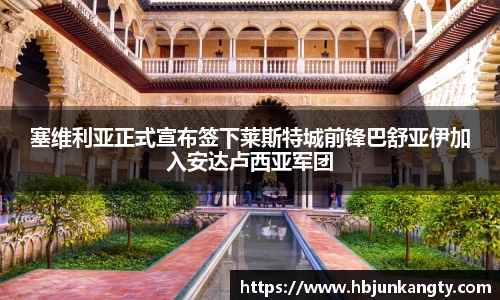 BB贝博登录入口