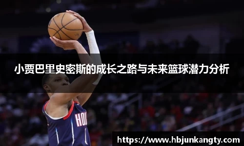 BB贝博登录入口