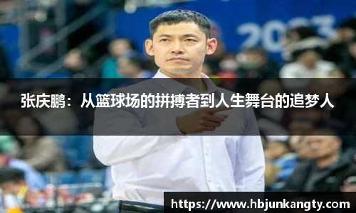 BB贝博登录入口